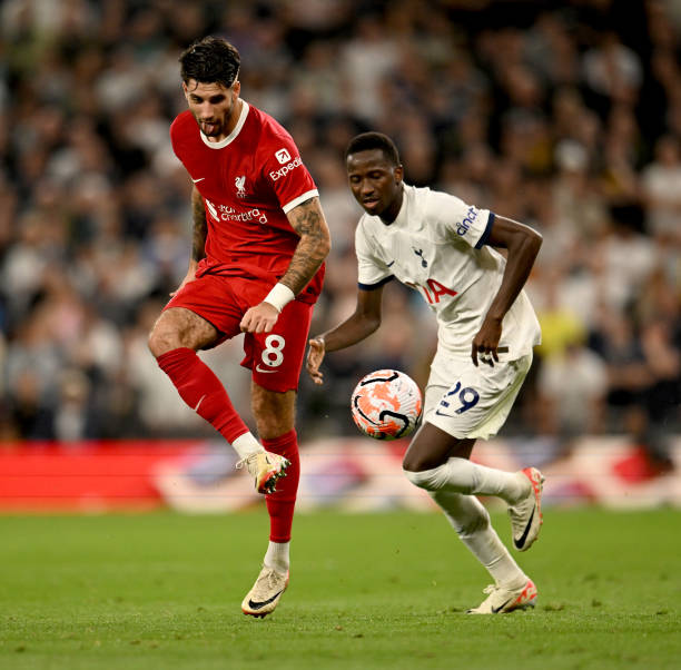 这些因素 这些因素